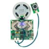 USB Sound Recording & Playback Module with Speaker PHI1003460 Phipps Electronics 1