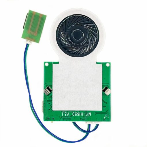 USB Sound Recording & Playback Module with Speaker PHI1003460 Phipps Electronics 3